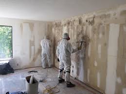 Winchester, MO Mold Removal & Remediation Company